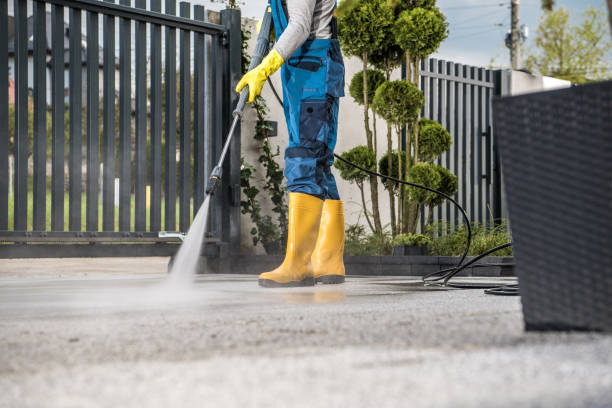 Best Dumpster Area Cleaning  in Vassar College, NY